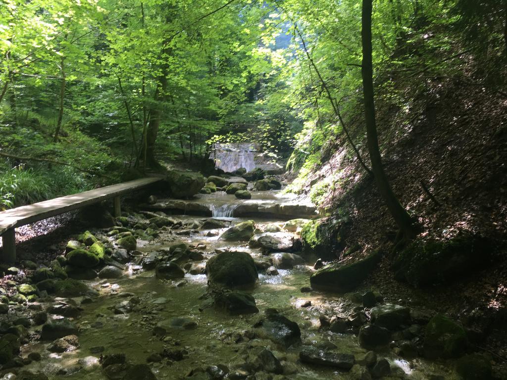 Bed And Breakfast Oase Im Seetal Gelfingen エクステリア 写真