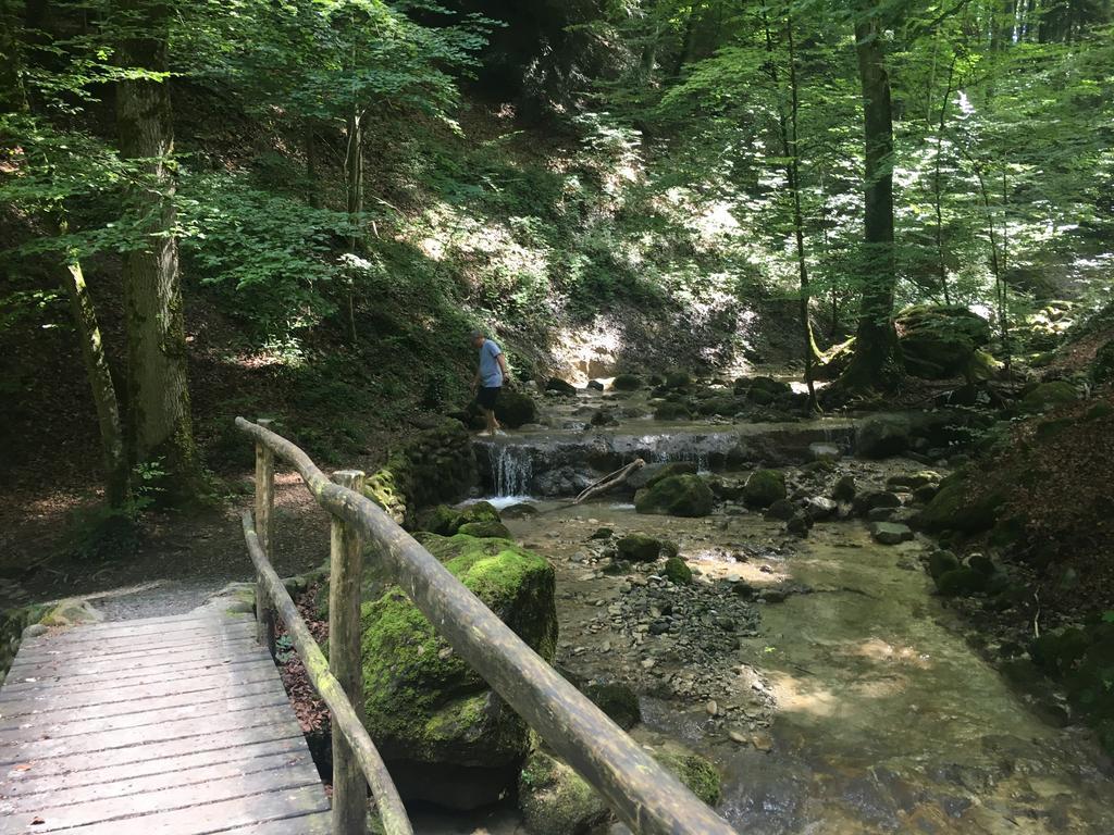 Bed And Breakfast Oase Im Seetal Gelfingen エクステリア 写真