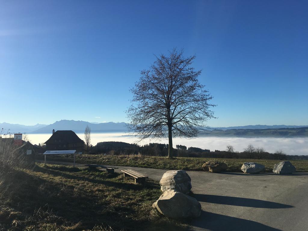 Bed And Breakfast Oase Im Seetal Gelfingen エクステリア 写真