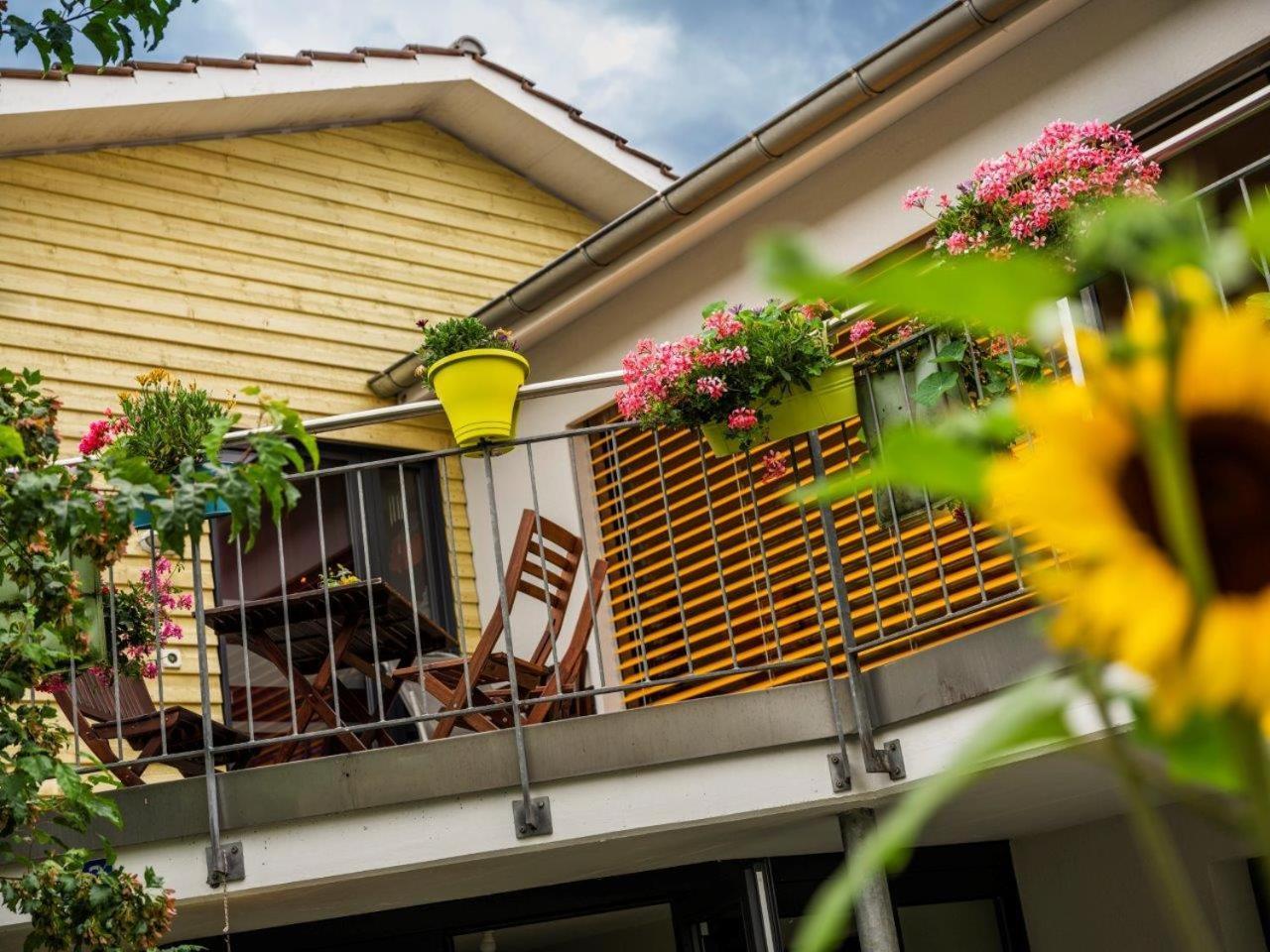 Bed And Breakfast Oase Im Seetal Gelfingen エクステリア 写真